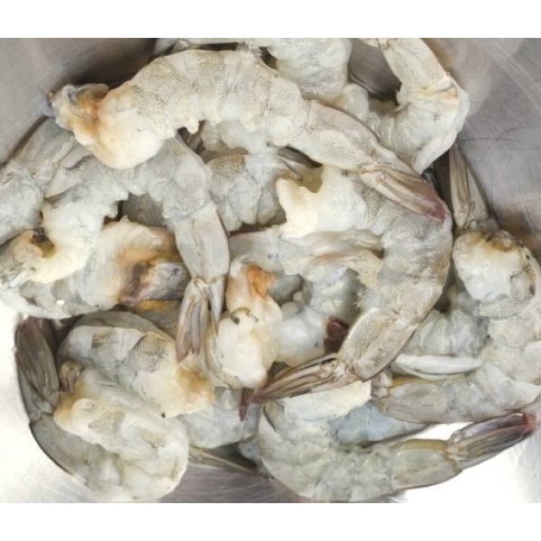 Freshwater Jumbo Prawns Freshwater for sale online